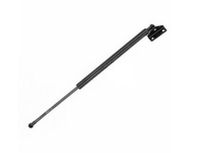 Toyota 4Runner Liftgate Lift Support - 68907-39025