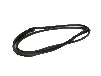 Toyota Camry Weather Strip - 67862-06040