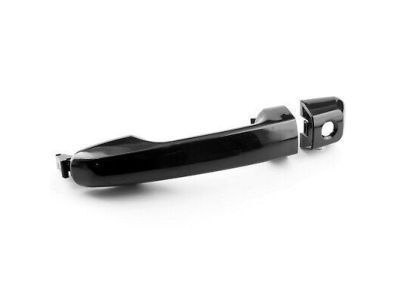 2023 Toyota 4Runner Door Handle - 69211-60090-D2