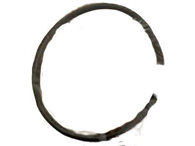 Toyota Highlander Fuel Pump Seal - 77169-48070