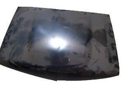 Toyota 53301-89124 Hood Sub-Assembly