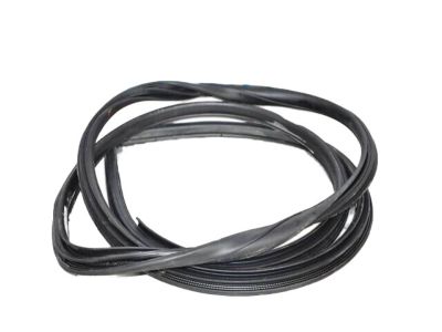 Toyota Camry Weather Strip - 62312-06210