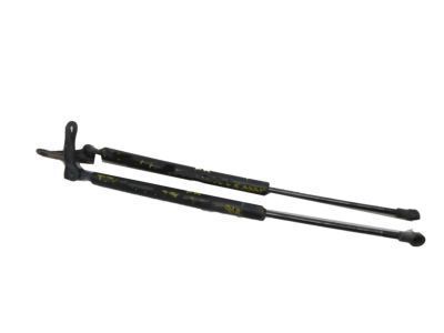 Toyota Matrix Liftgate Lift Support - 68960-02041