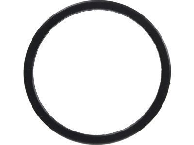 Toyota Avalon Fuel Pump Seal - 77169-33010