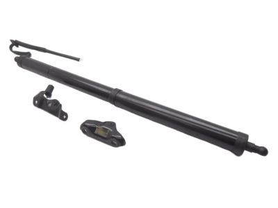 Toyota Highlander Liftgate Lift Support - 68910-09021