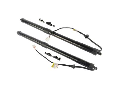 Toyota Highlander Liftgate Lift Support - 68920-09021