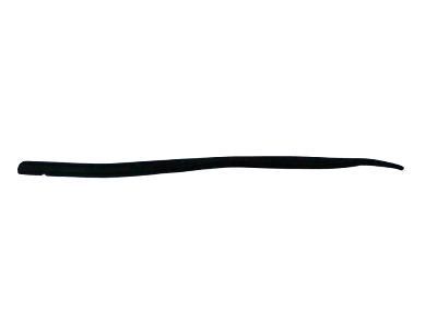 Toyota Sequoia Weather Strip - 67863-0C020