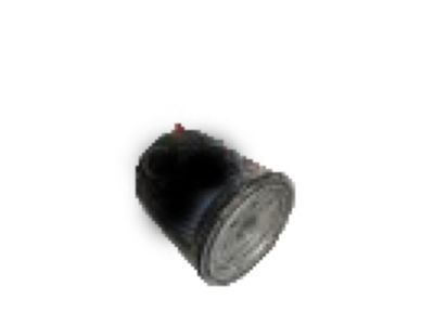 Toyota Camry Coolant Filter - 90915-20003