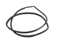 Toyota 62312-0C040 Weatherstrip, Front Door Opening Trim, LH