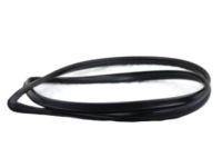 Toyota 64812-04020 Weatherstrip, Back Window Glass