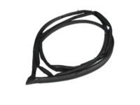 Toyota 67881-0C011 Weatherstrip, Back Door