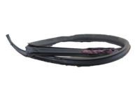 Toyota 62382-14150 Weatherstrip, Roof Side Rail, LH