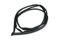 Toyota 67881-60060 Weatherstrip, Back Door