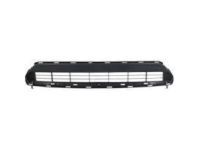 Toyota 53112-0E070 Lower Radiator Grille No.1