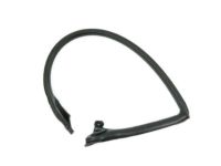 Toyota 62382-17041 Weatherstrip, Roof Side Rail, LH