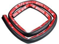 Toyota 62742-04010 Weatherstrip, Quarter Window, LH