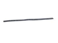 Toyota 68174-42020 Weatherstrip, Rear Door Glass, Inner LH