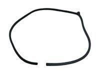 Toyota 62312-35020-B0 Weatherstrip, Front Door Opening Trim, LH