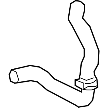 2022 Toyota C-HR Radiator Hose - 16572-37240